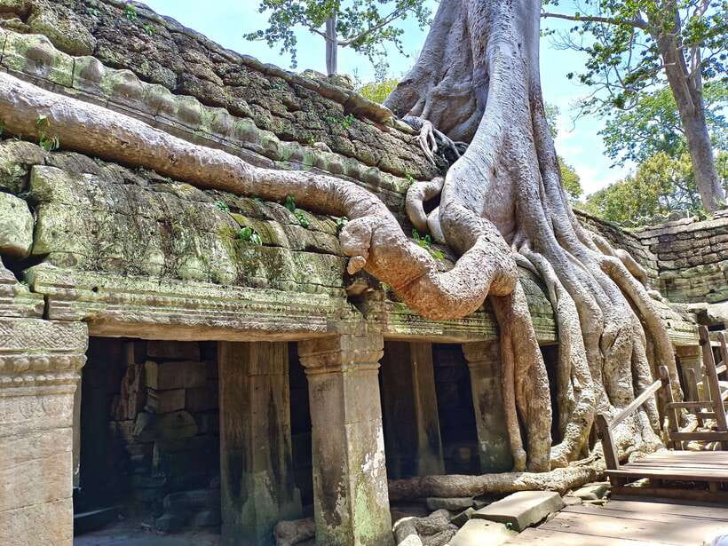 Angkor Wat: Sunrise 2.5 Days with Tonle Sap Lake Tour - What the tour does well (and where you should be ready for reality)