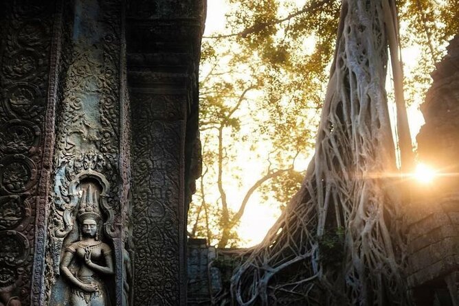 Angkor Wat Sunrise & 3 Main Temples with Breakfast – Small Group - Stop 4: Ta Prohm for photos, details, and atmosphere