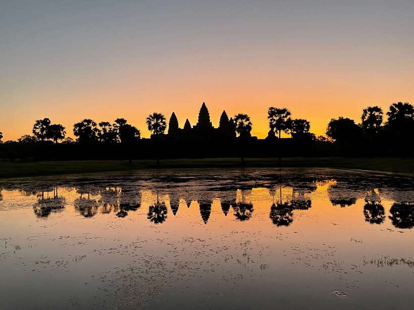 Angkor Wat Sunrise, Banteay Srei, Bayon & Ta Prohm Temple - Ta Prohm: when the jungle takes part of the ruins