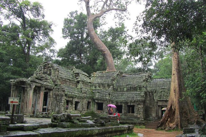 Angkor Wat Sunrise Guided Join-In Tour/Private Tour - Ta Prohm: Tomb Raider fame, with real-world etiquette
