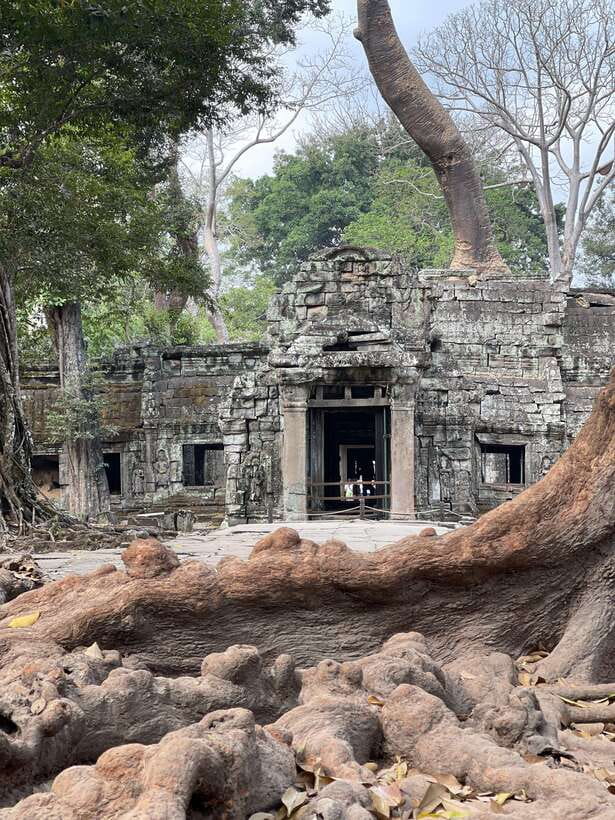 Angkor Wat Sunrise Private Full Day Tour - Logistics and Tips That Make the Whole Day Easier