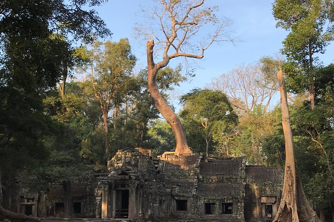 Angkor Wat Sunrise Private Tour by Vintage Jeep - Ta Prohm’s Tree Roots: Atmosphere Without the Full Morning Stampede