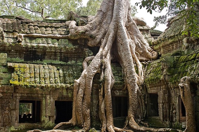 Angkor Wat Sunrise & Small Circuit Tour - Transportation and guide style: the real value of a private tour