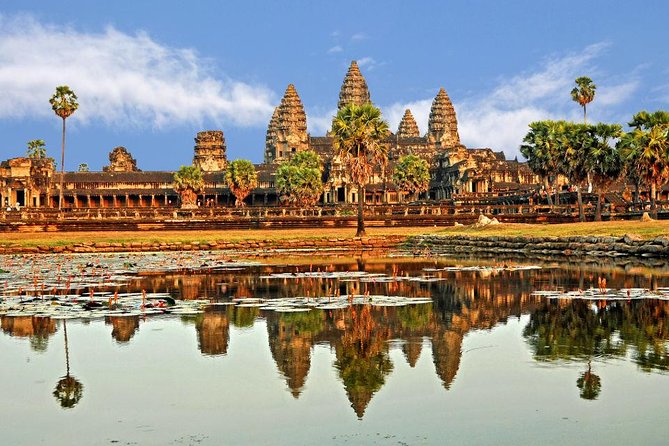 Angkor Wat Sunrise Tour - Stop 4: Ta Prohm where the roots take over