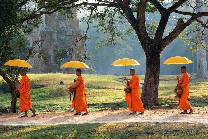 Angkor Wat Temples Tour with Entrance Ticket and Lunch - Ta Prohm: Ruins, Tree Roots, and Walking the Paths