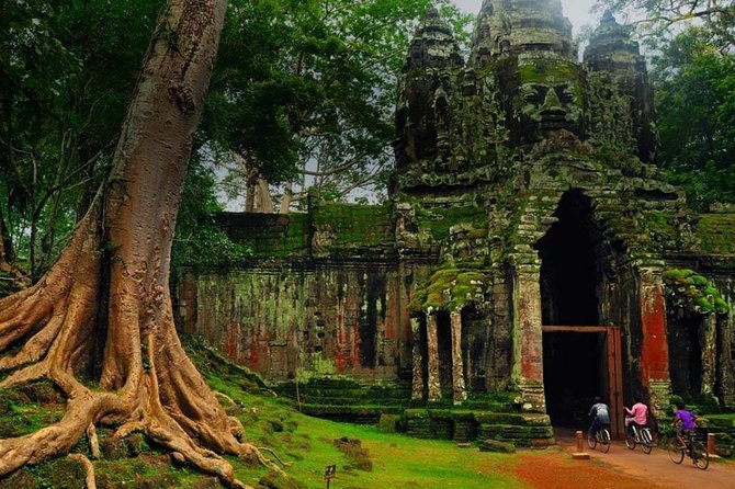 Angkor Wat Temples Tour with Entrance Ticket and Lunch - Comfort, Group Size, and Getting Around the Park