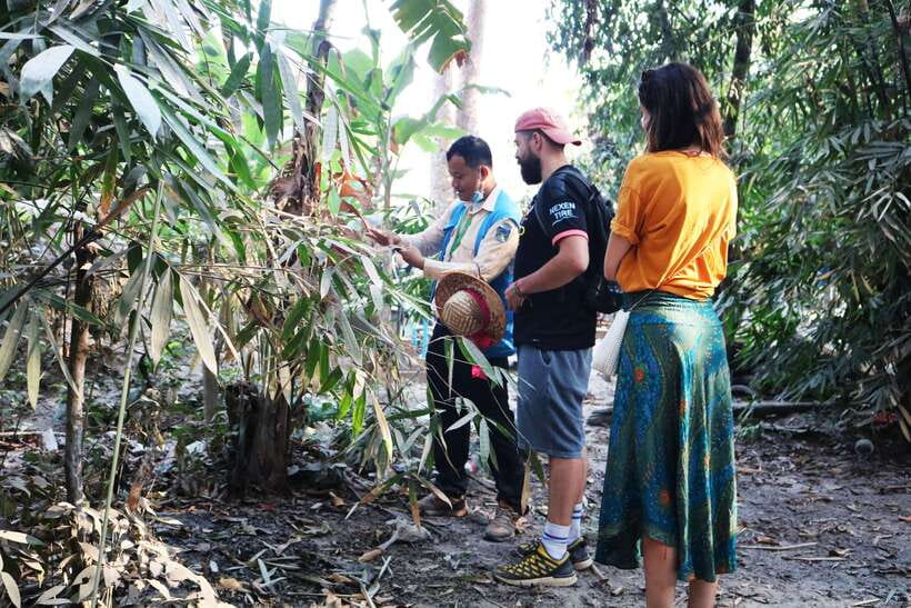 Angkor Wat: Tuk Tuk and Walking Tour - Key points before you go