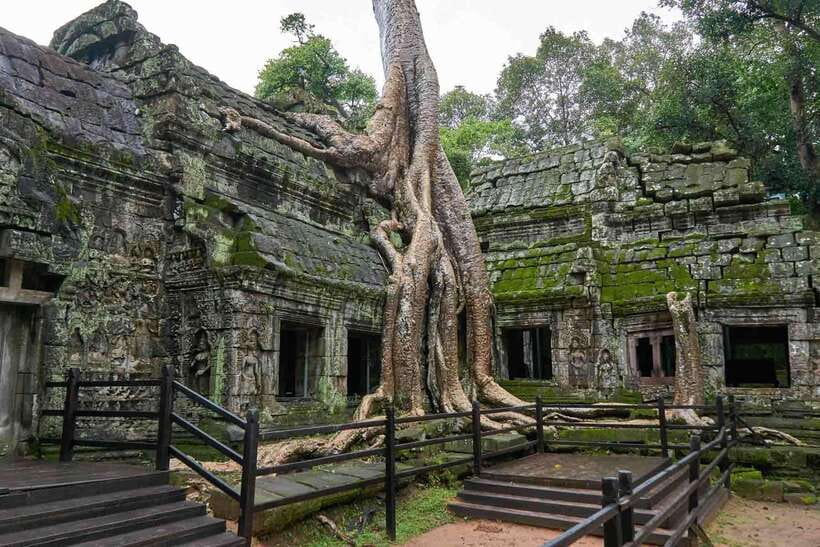 Angkor Zipline and Temple Tour with Sunset - Key Things You’ll Notice