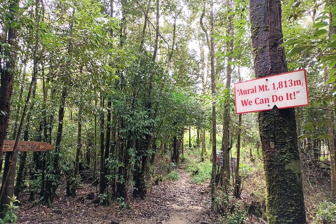 Aural Mountain Trek: Cambodia Tallest Peak Challenge - What the guides and small-group size really change for you