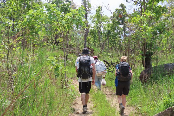 Aural Mountain Trek: Cambodia Tallest Peak Challenge - The hike reality check: heat, critters, and pacing