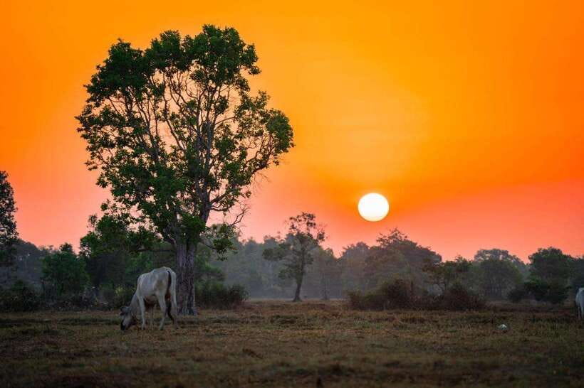 Authentic Siem Reap: Tuk Tuk Countryside and Sunset Tour - Key reasons this tour feels worth your time