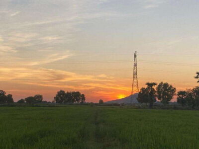 Authentic Siem Reap: Tuk Tuk Countryside and Sunset Tour - Market first: where everyday food culture becomes visible