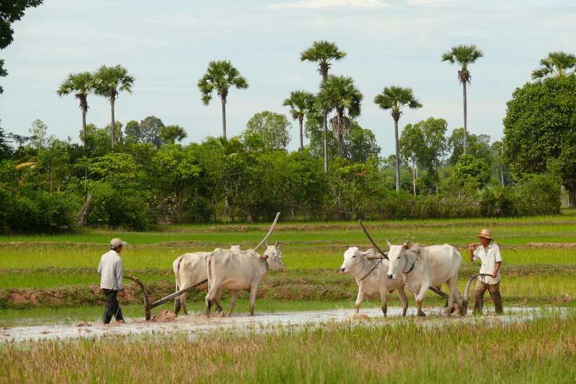 Back to Basics: Siem Reap Village Tour in Cambodia - “Back to Basics” and why the access style matters