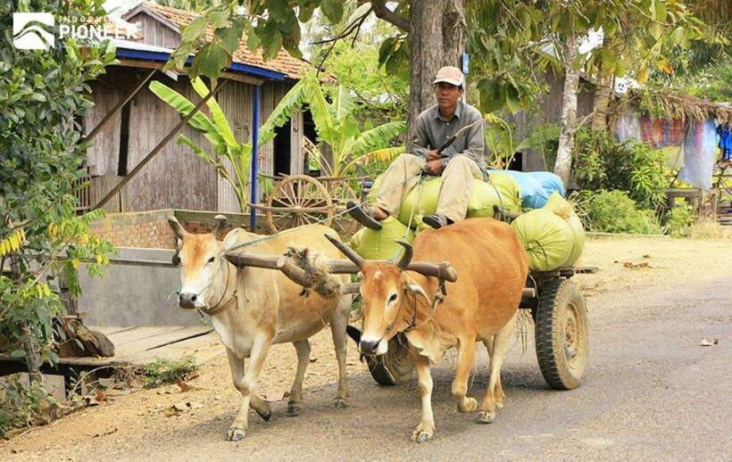 Back to Basics: Siem Reap Village Tour in Cambodia - The day’s structure: transportation, timing, and how the pace feels