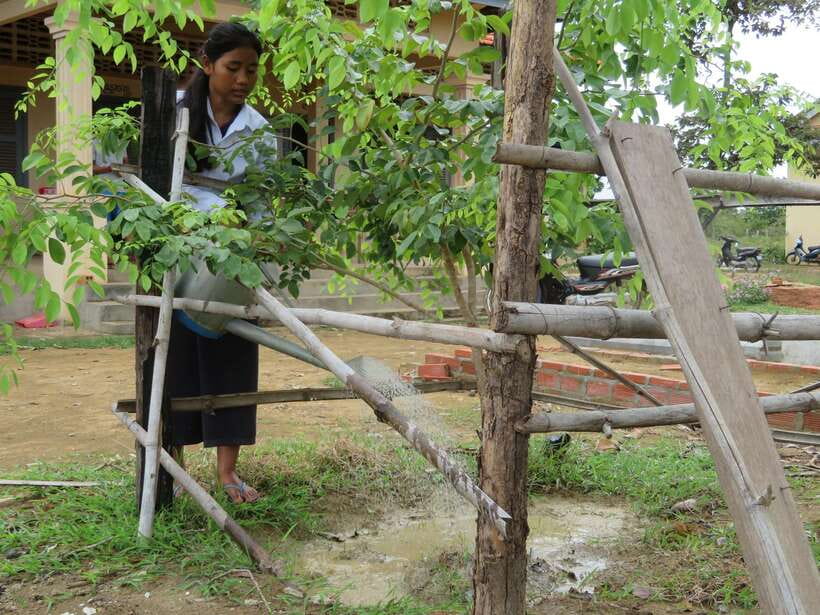 Back to Basics: Village Life Tour from Siem Reap - Quick hits you’ll care about