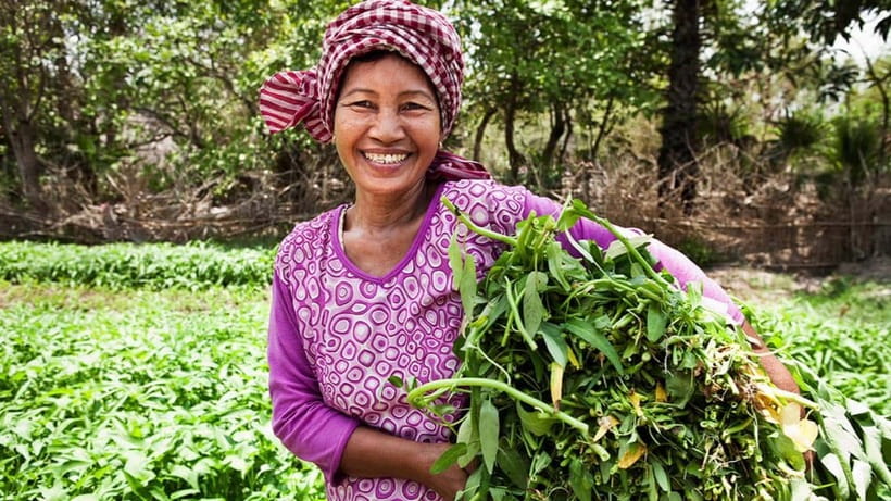 Back to Basics: Village Life Tour from Siem Reap - Why Back to Basics Village Life Feels More Real