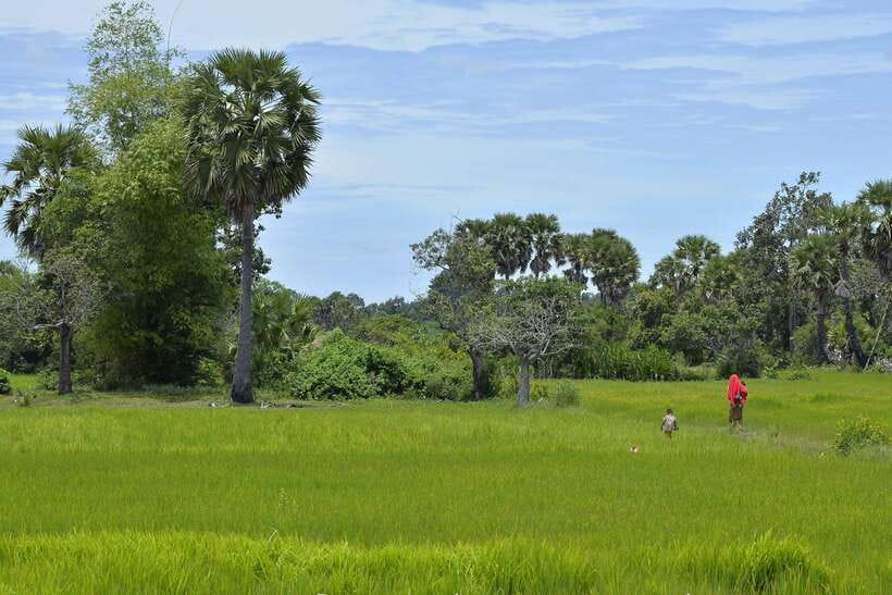 Back to Basics: Village Life Tour from Siem Reap - Village Crafts That Start as Skills, Not Souvenirs