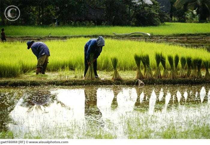 Back to Basics: Village Life Tour from Siem Reap - Price and Value: Why $68 Makes Sense for What You Get