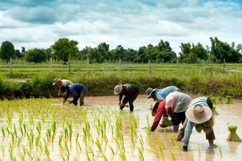 Back to Basics: Village Life Tour from Siem Reap - The 4-Hour Route: What the Day Actually Looks Like