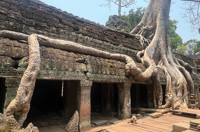Bangkok to Angkor Wat 2 Days 1 Night by Flight - Kompong Phluk by Private Boat: A Different Side of Cambodia