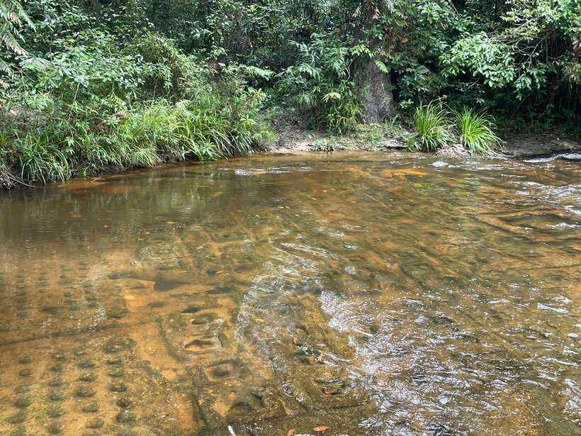 Banteay Srei, Kulen Waterfall & Beng Mealea Small-Group Tour - Beng Mealea: The 12th-Century Jungle Temple Where Nature Does the Restoration