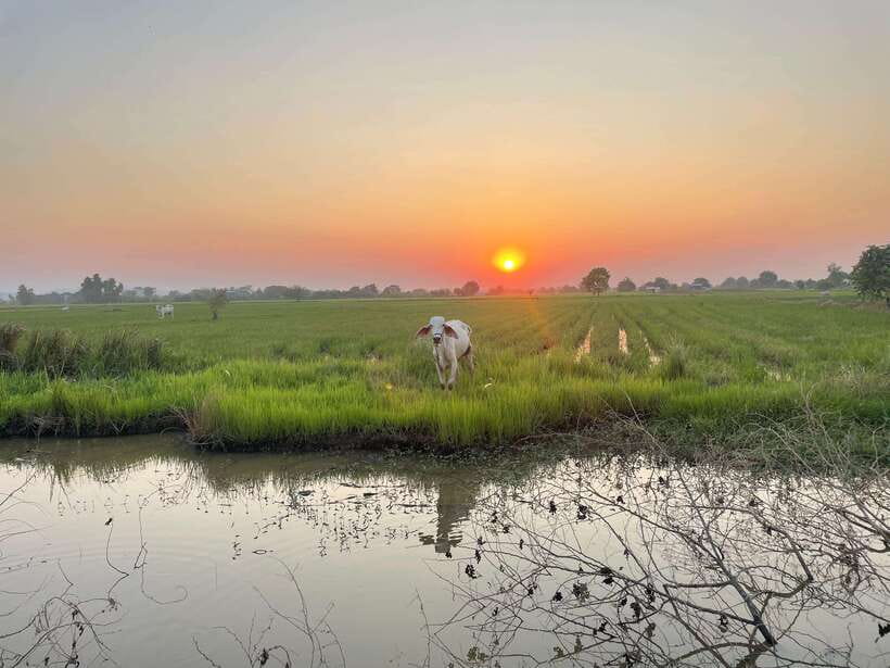 Battambang: Bamboo Train, Bat Cave and Killing Cave Tour - Bat Cave and Killing Cave: two very different cave moods