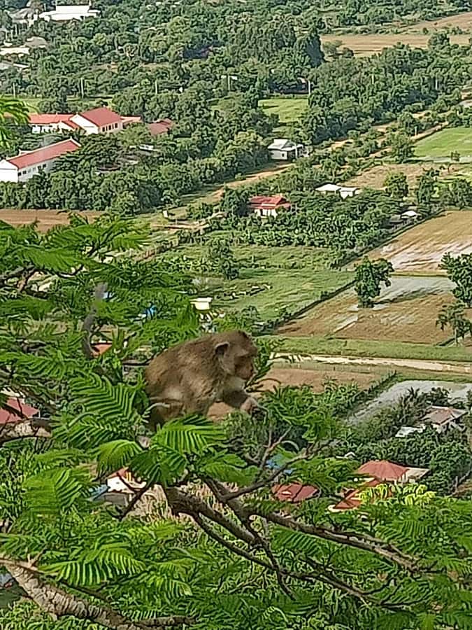 Battambang Full Day Tour from Siem Reap - Phnom Sampeav and the sunset bats: the climb and the timing magic