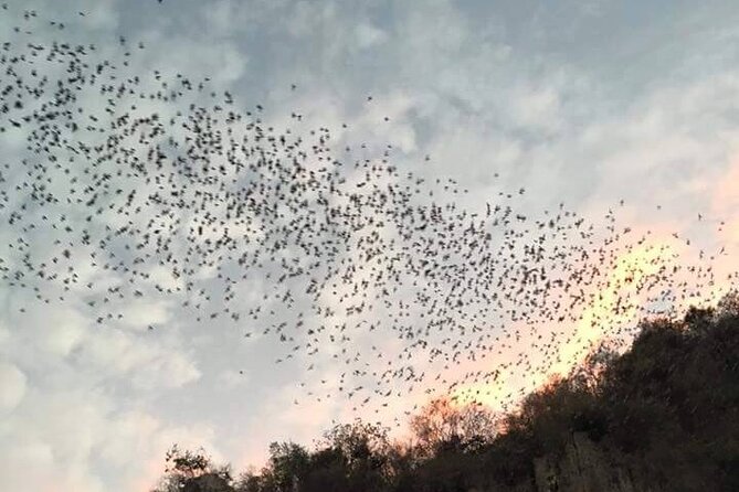 Battambang Private afternoon tour bamboo train bat cave & village - Quick Highlights Before You Go