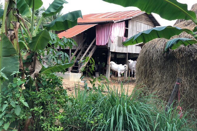 Battambang Private afternoon tour bamboo train bat cave & village - Phnom Sampeau Killing Caves: Powerful, Relevant, and Not Just a Viewpoint