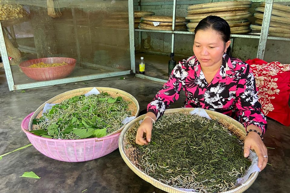 Boat trip to silk island with English speaking guide - Village Walk: Rural Rhythm Up Close