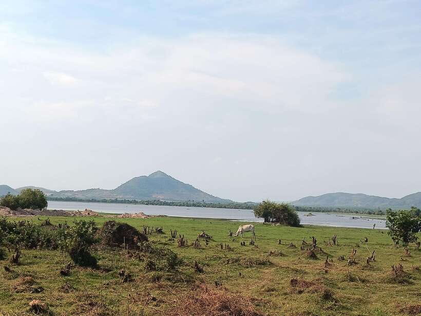 Bokor mountain, Pepper plantation and Man-made lake - La Plantation Pepper Farm: Tasting That Explains the Spice