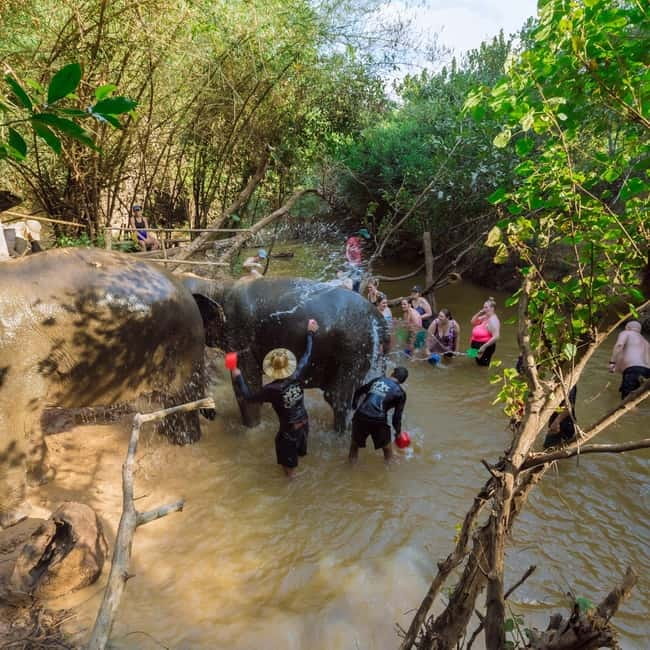 Cambodia Elephants Haft Day Experiences from Siem Reap - Seasonal fruits break: a calmer end to a busy day