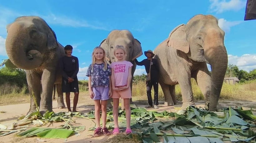 Cambodia Elephants Haft Day Experiences from Siem Reap - The real draw: learning elephant behavior while staying respectful
