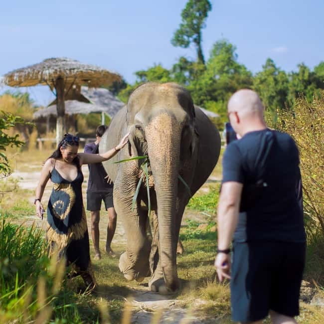 Cambodia Elephants Haft Day Experiences from Siem Reap - Mud bath with elephants: playtime that’s still guided