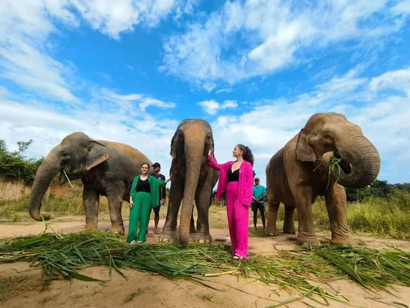 Cambodia Elephants Haft Day Experiences from Siem Reap - 4.5 hours of Siem Reap: how the timing actually works