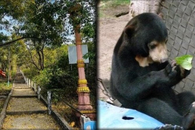 Cambodia Wildlife Sanctuary and Countryside Tour - Key highlights worth your morning