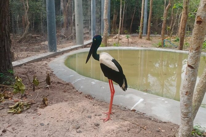 Cambodia Wildlife Sanctuary and Countryside Tour - Timing you can plan around: start early, then stay flexible
