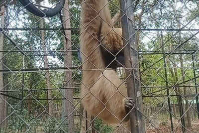 Cambodia Wildlife Sanctuary and Countryside Tour - Takeo Province and Tonle Bati: the lunch break that does more than refuel