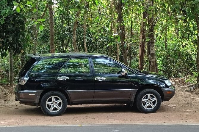 Day trip Phnom Penh to Siem Reap & Return back - Ta Prohm: how to handle the jungle setting in one hour