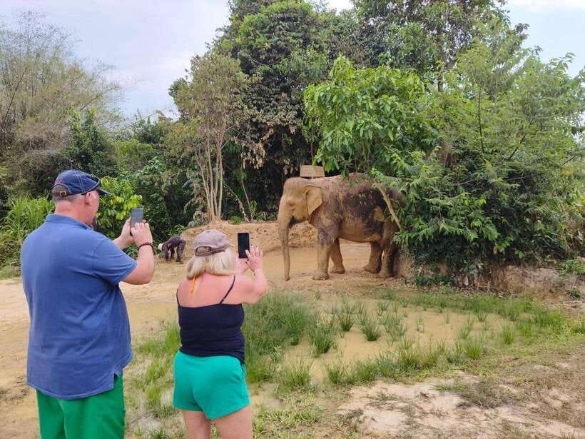 Elephant Sanctuary Cambodia, Pickup and drop off included - Observation Time: Watching Social Behavior With Better Context