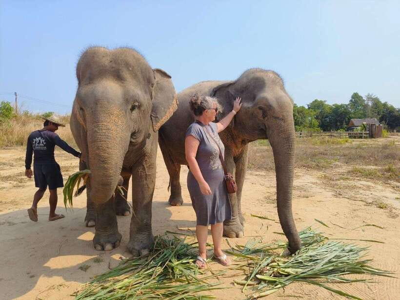 Elephant Sanctuary Cambodia, Pickup and drop off included - Price and Value: Is $58 for 3 Hours a Good Deal?