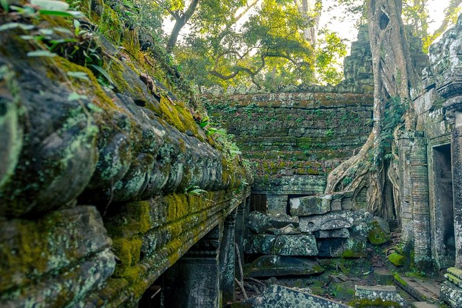 Explore Angkor Wat Temple , Bayon Temple and Jungle Temple Ta-Prohm - A Private Temple Day That Fits Limited Time in Siem Reap