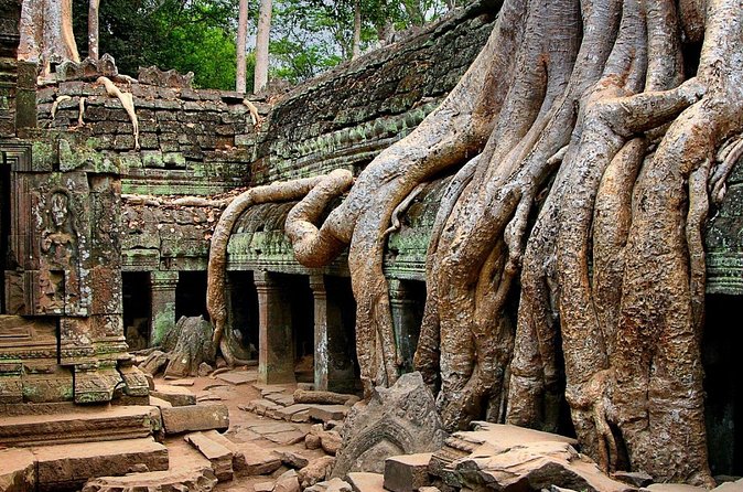 Explore Angkor Wat Temple , Bayon Temple and Jungle Temple Ta-Prohm - Bayon Temple’s 54 Towers and 216 Faces of Avalokitesvara