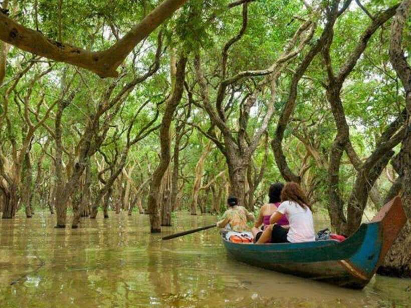 Floating Village-Mangroves Forest Tonle Sap Lake Boat Tour - Key highlights at a glance