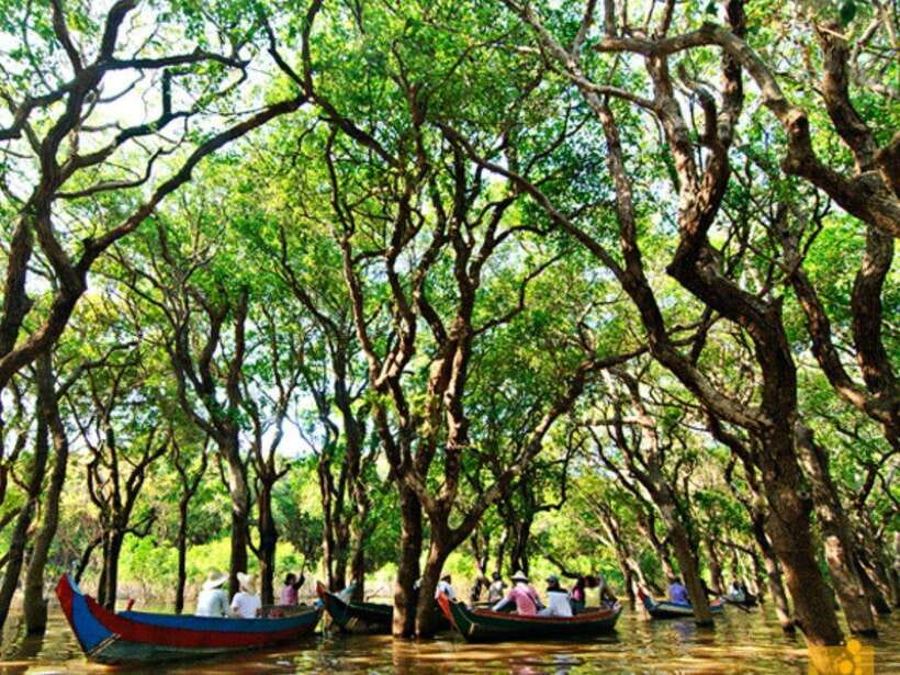 Floating Village-Mangroves Forest Tonle Sap Lake Boat Tour - Meanchey Kampong Phluk community stop and the “real day” feeling