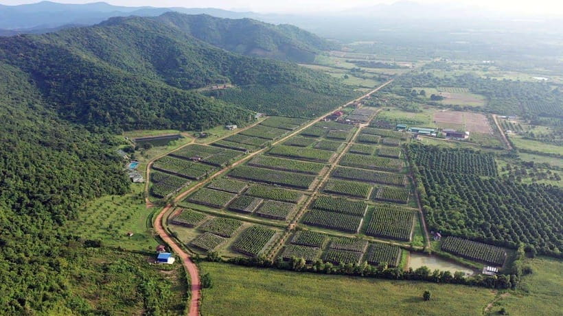 From Phnom Penh: Kampot Day Trip to Beautiful place W/ Guide - Pepper country: La Plantation and Brateak Krola