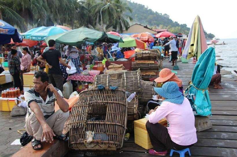 From Phnom Penh: Kampot Day Trip to Beautiful place W/ Guide - Salt fields in Kampot: unforgettable when it’s in season