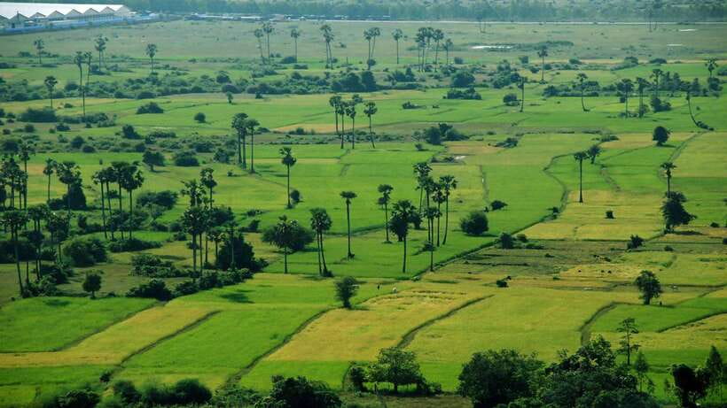 From Siem Reap: Battambang Day Trip Bamboo Train, Bats Cave - Time on the road, what to bring, and how to stay comfortable
