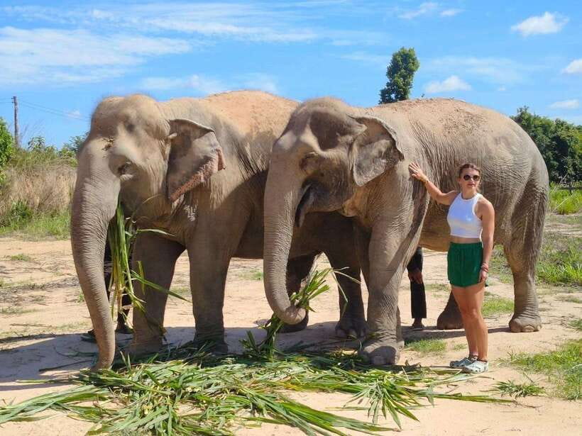 From Siem Reap: Elephant Sanctuary Experience with Transfers - The Welcome Briefing and Elephant Rules You’ll Be Glad You Hear