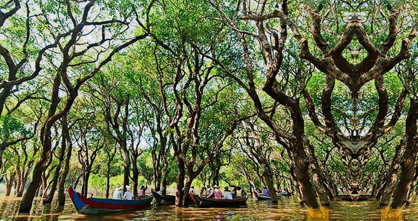 From Siem Reap: Floating Village Tour by Boat - The Pagoda or Local Market Moment: Quick Culture Time Without Overload